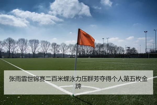 张雨霏世锦赛二百米蝶泳力压群芳夺得个人第五枚金牌